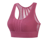 Mesh Women Sports Top