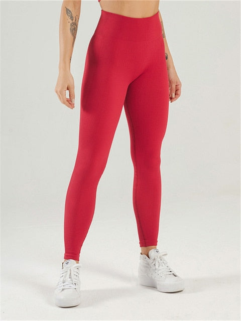 Seamless Knit Yoga Pants